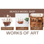 T289 Beagle Ship Model 